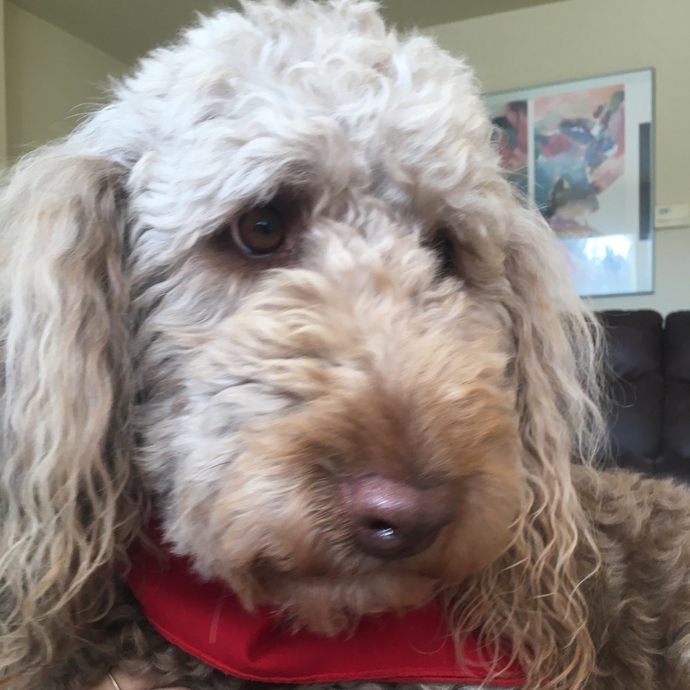 Meet your Posher, Jaislyn